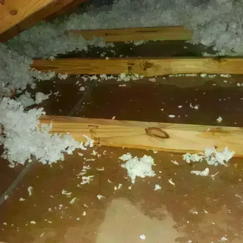 Attic Water Damage in Gretna, VA